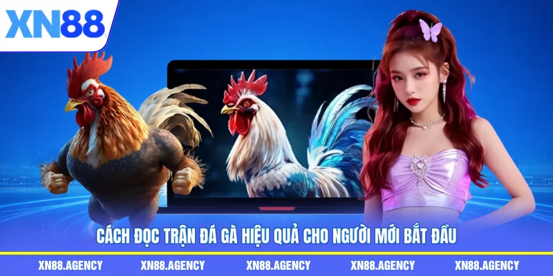 cách đọc trận đá gà