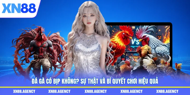 đá gà có bịp không