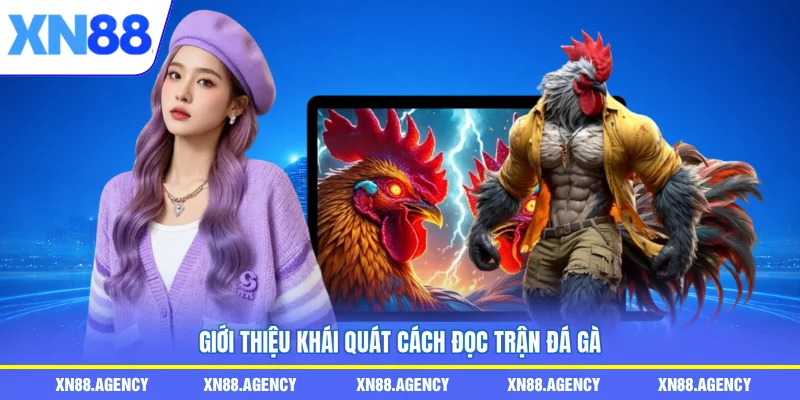 Giới thiệu khái quát cách đọc trận đá gà