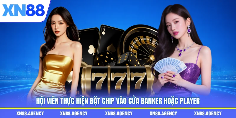 Hội viên thực hiện đặt chip vào cửa Banker hoặc Player