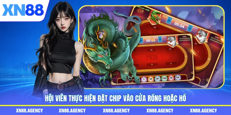 Hội viên thực hiện đặt chip vào cửa rồng hoặc hổ