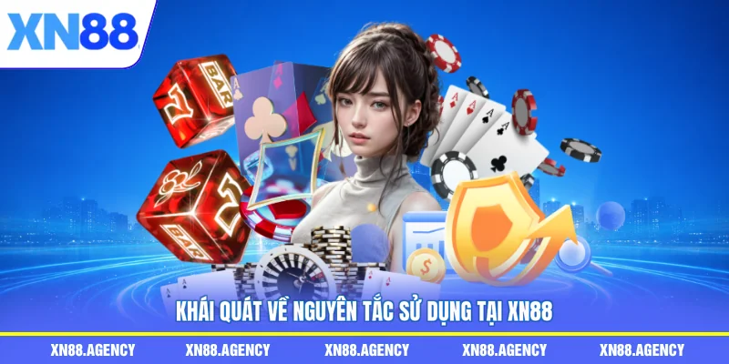 Khái quát về nguyên tắc sử dụng tại XN88