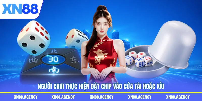 Người chơi thực hiện đặt chip vào cửa tài hoặc xỉu