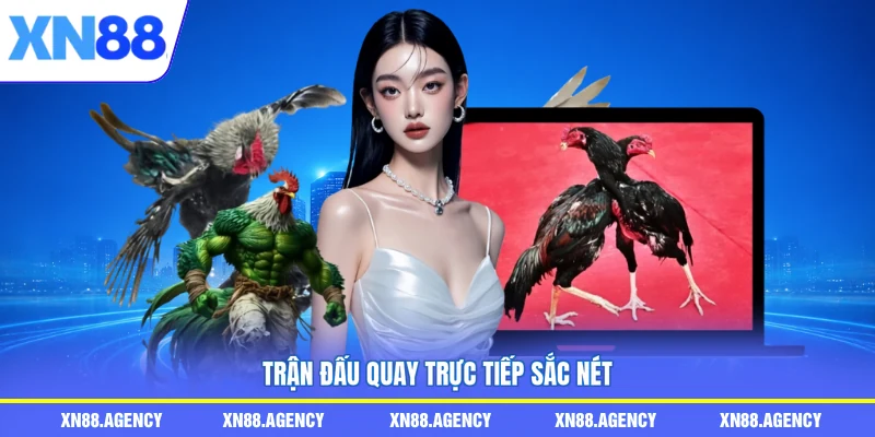 Trận đấu quay trực tiếp sắc nét